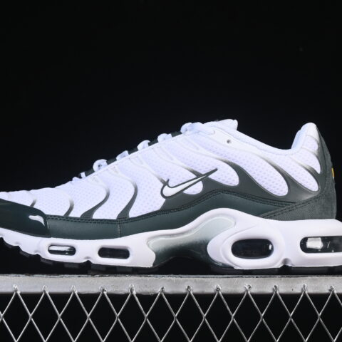 Nike Air Max Plus