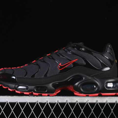 Nike Air Max Plus