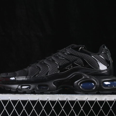 Nike Air Max Plus