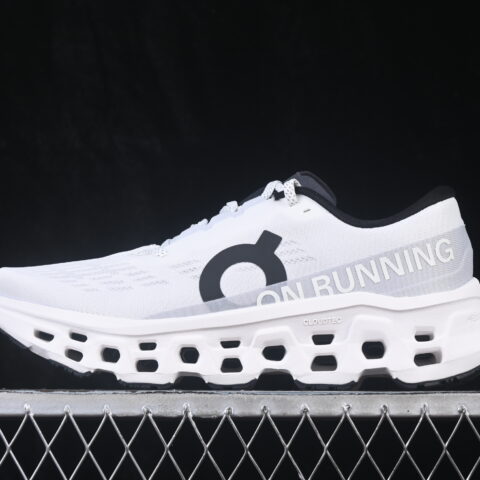 On Cloudmonster 3